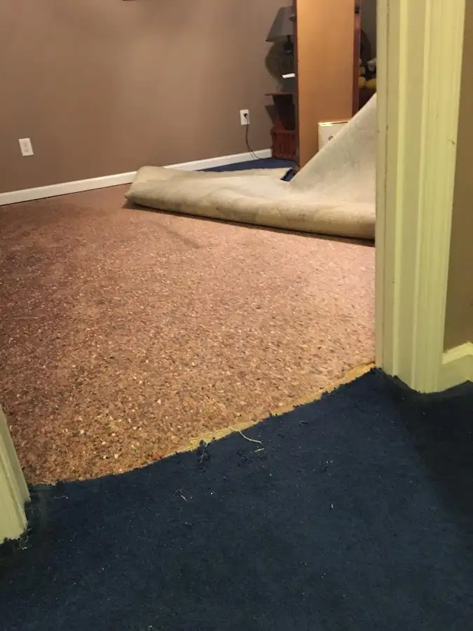 Carpet pad removal revealing water damage during Drying & Dehumidification in Bern