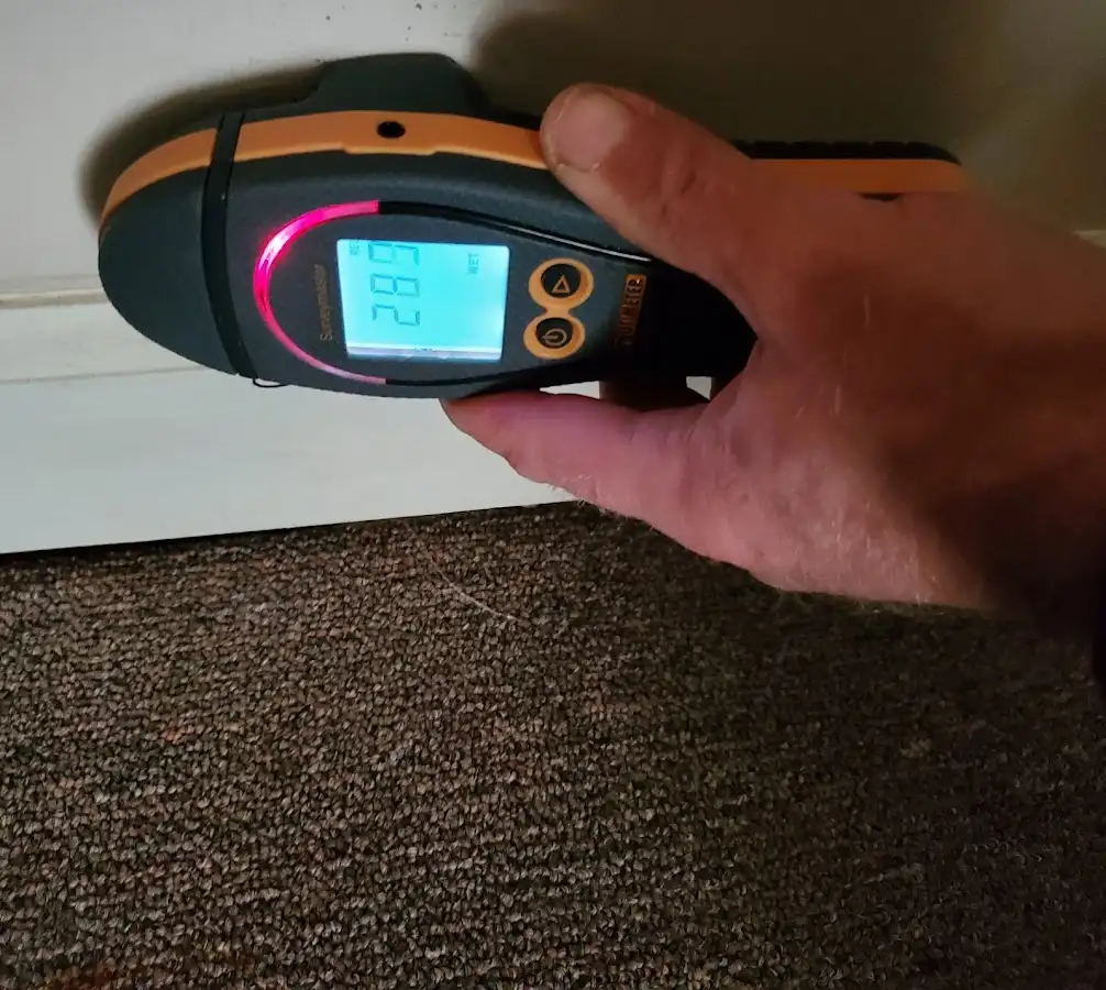 Moisture detection at baseboard during Sewage Cleanup & Sanitation in Bern